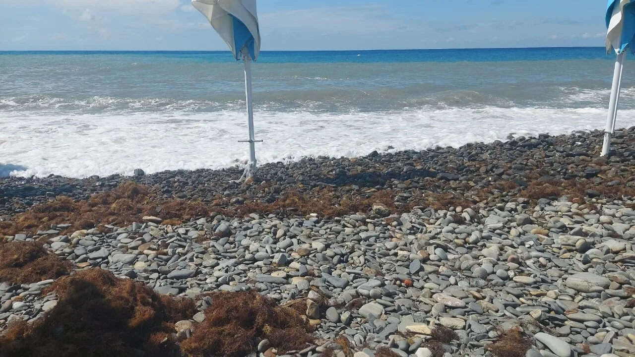 Добрый день сегодня были на море в Дюрсо, и произошла такая ситуация после ночного штор...