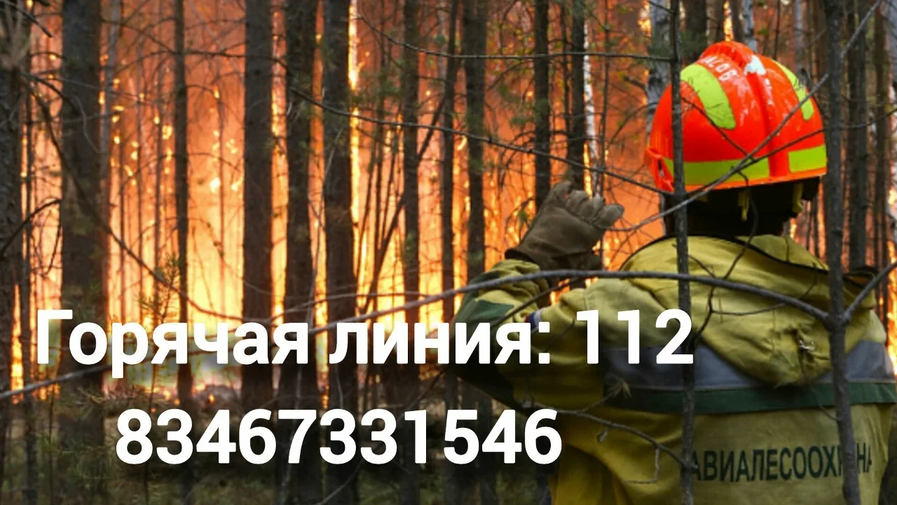 🔥Почему опасны весенние лесные пожары?