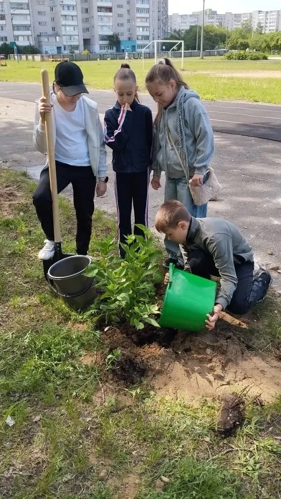 🪻25 мая ученики 3 Б и 3 Г классов приняли активное участие в озеленении территории наш...