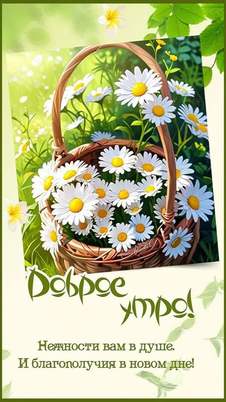 - 🌺 Понравилась открытка — нажмите реакцию и сделайте чей‑то день светлее ❤