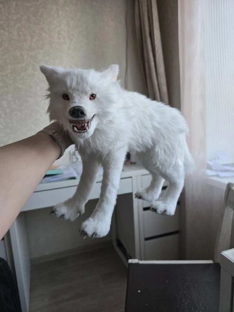 Уже вторую неделю мучаю этого волка.