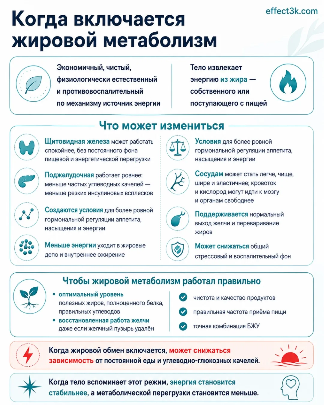 Продолжение 👆