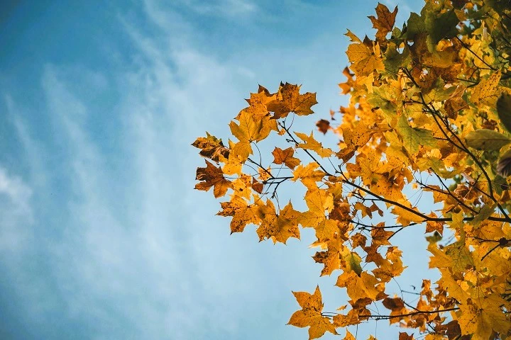 🌤🍁Выходные без дождя прогнозируют на Ставрополье