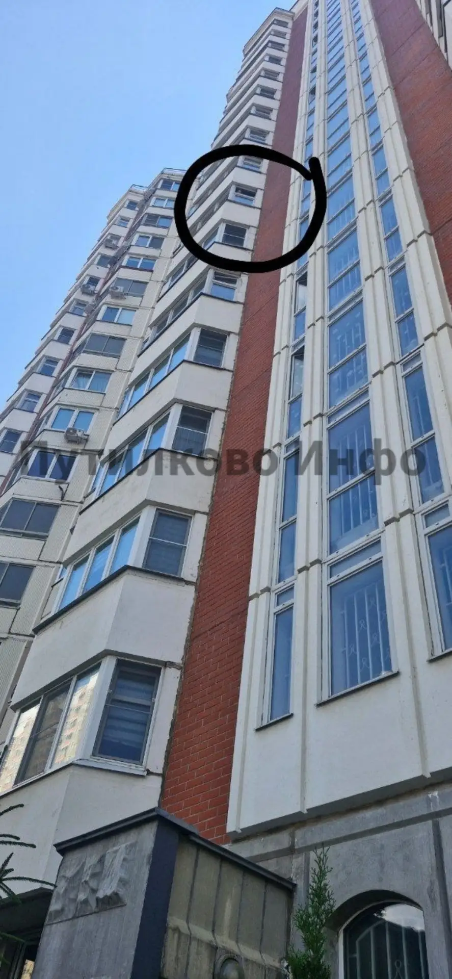 #нампишут #мортон 

Жители Спасо-Тушинского бульвара, 9 бьют тревогу. Ребёнок из окна 8 этажа (4-й п