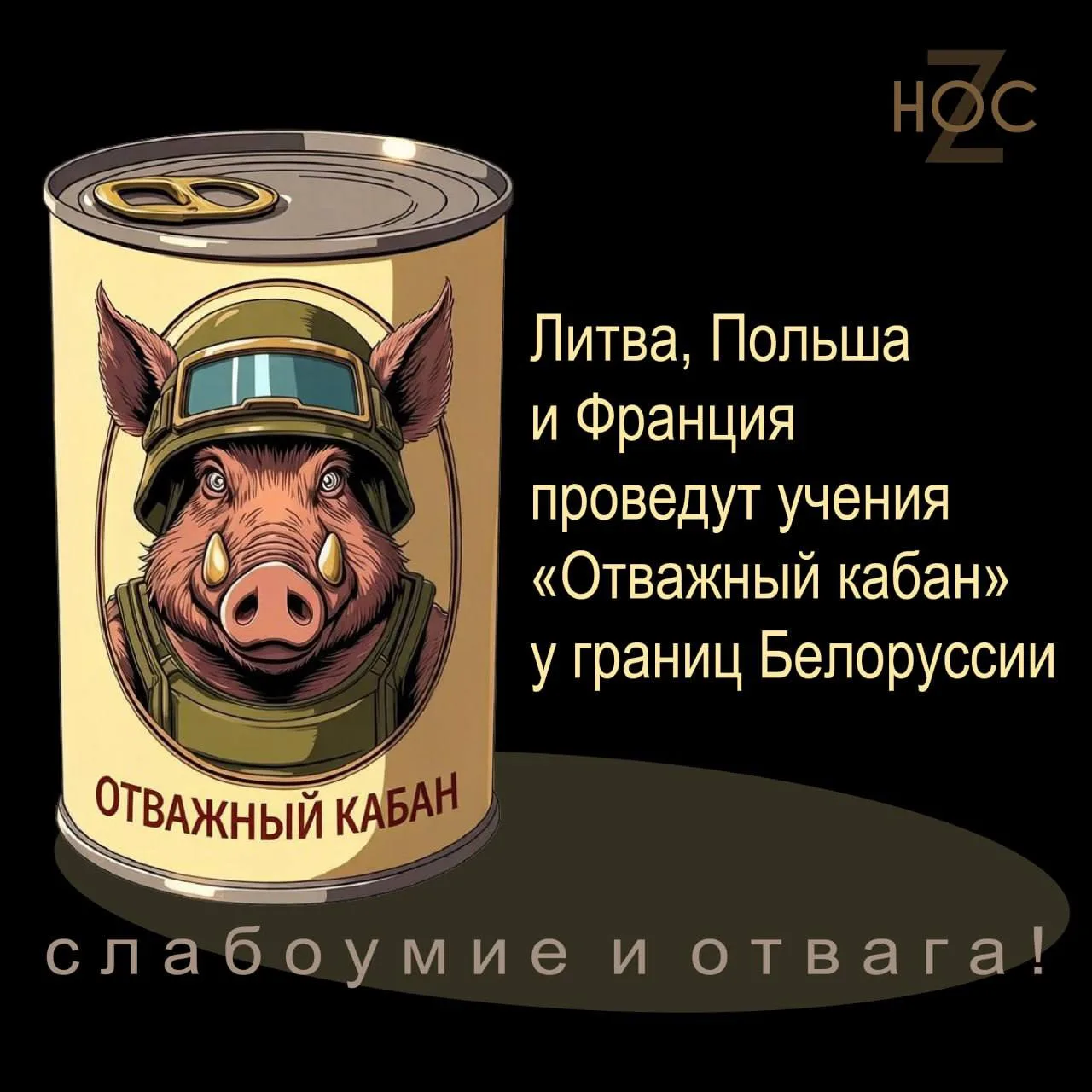 Литва, Польша и Франция планируют провести совместные военные учения под названием «Отв...