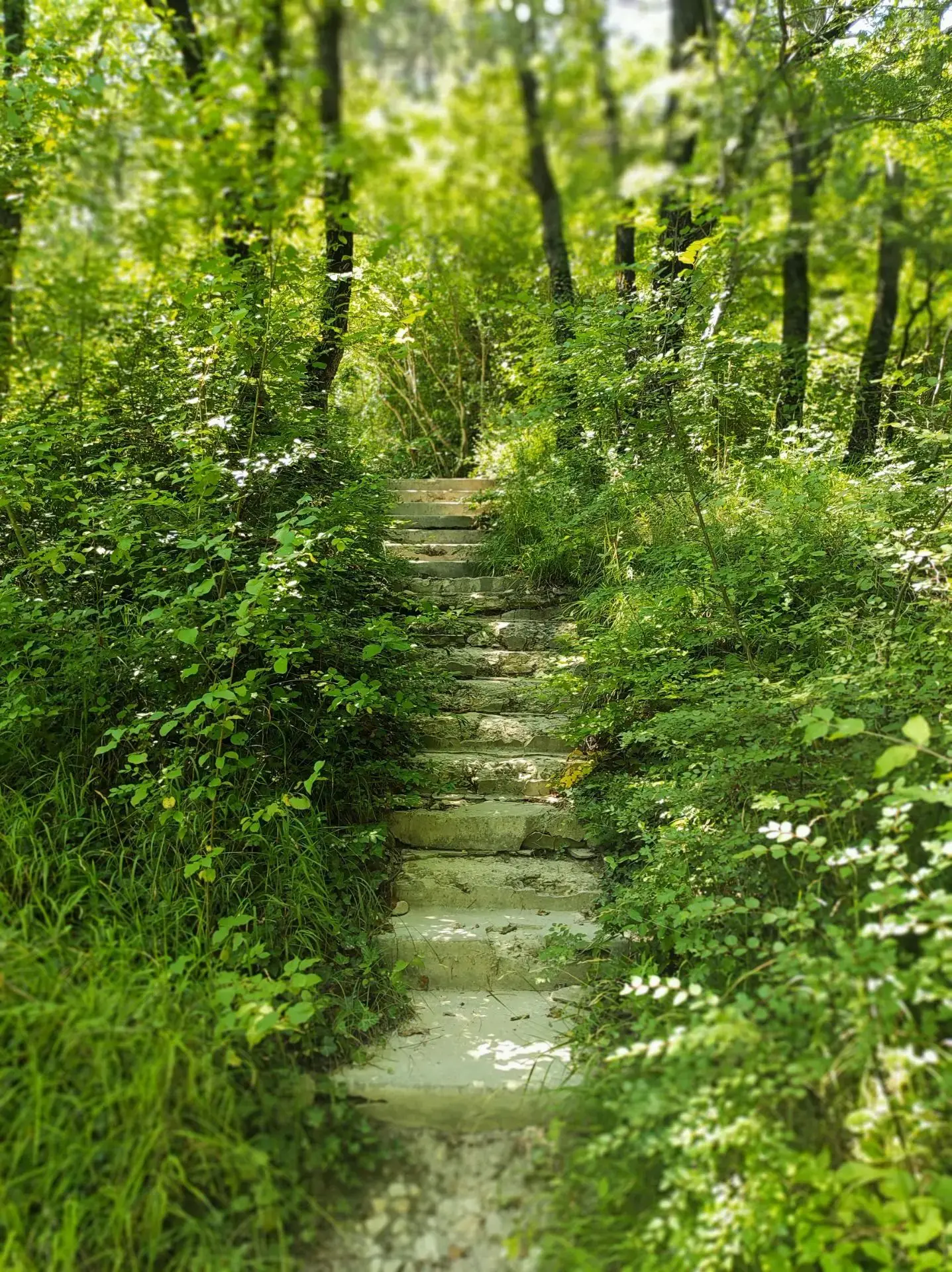 Архипо-Осиповка, Терренкур 🌿