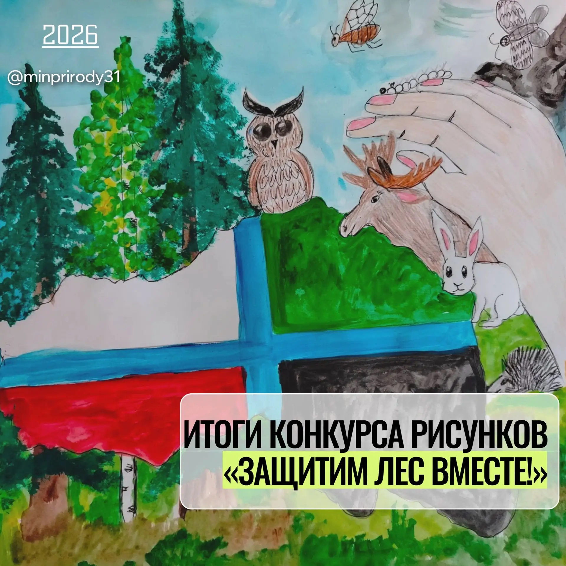 Подведены итоги регионального конкурса детских рисунков «Защитим лес вместе!». Жюри отм...