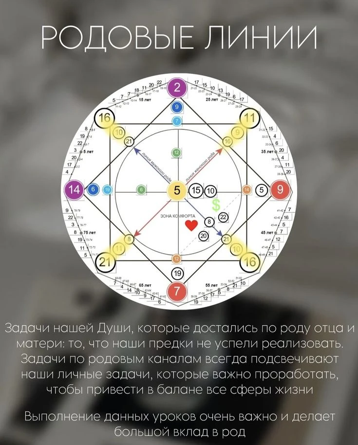 🧩Родовые линии в нумерологии: когда цифры будто шепчут семейную историю