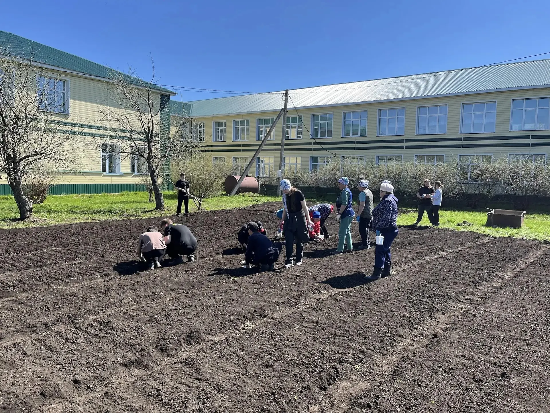 7 мая на пришкольном участке прошла посадка овощей. Учащиеся под руководством педагогов...
