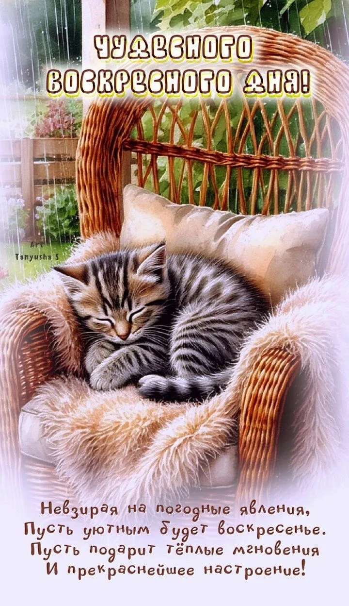 Утра доброго, дня прекрасного! ☕🌞🌷