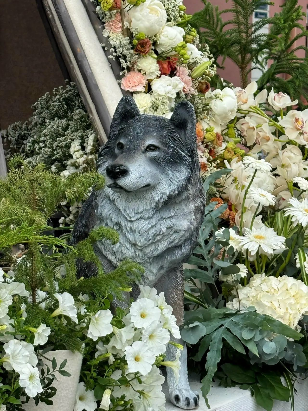 Фестиваль цветов в Петропавловской крепости 🌺. 
 
Посмотреть на цветочные композиции можно будет до
