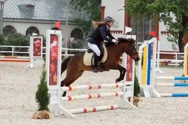 🐎 На ВДНХ проходит фестиваль конного искусства и спорта