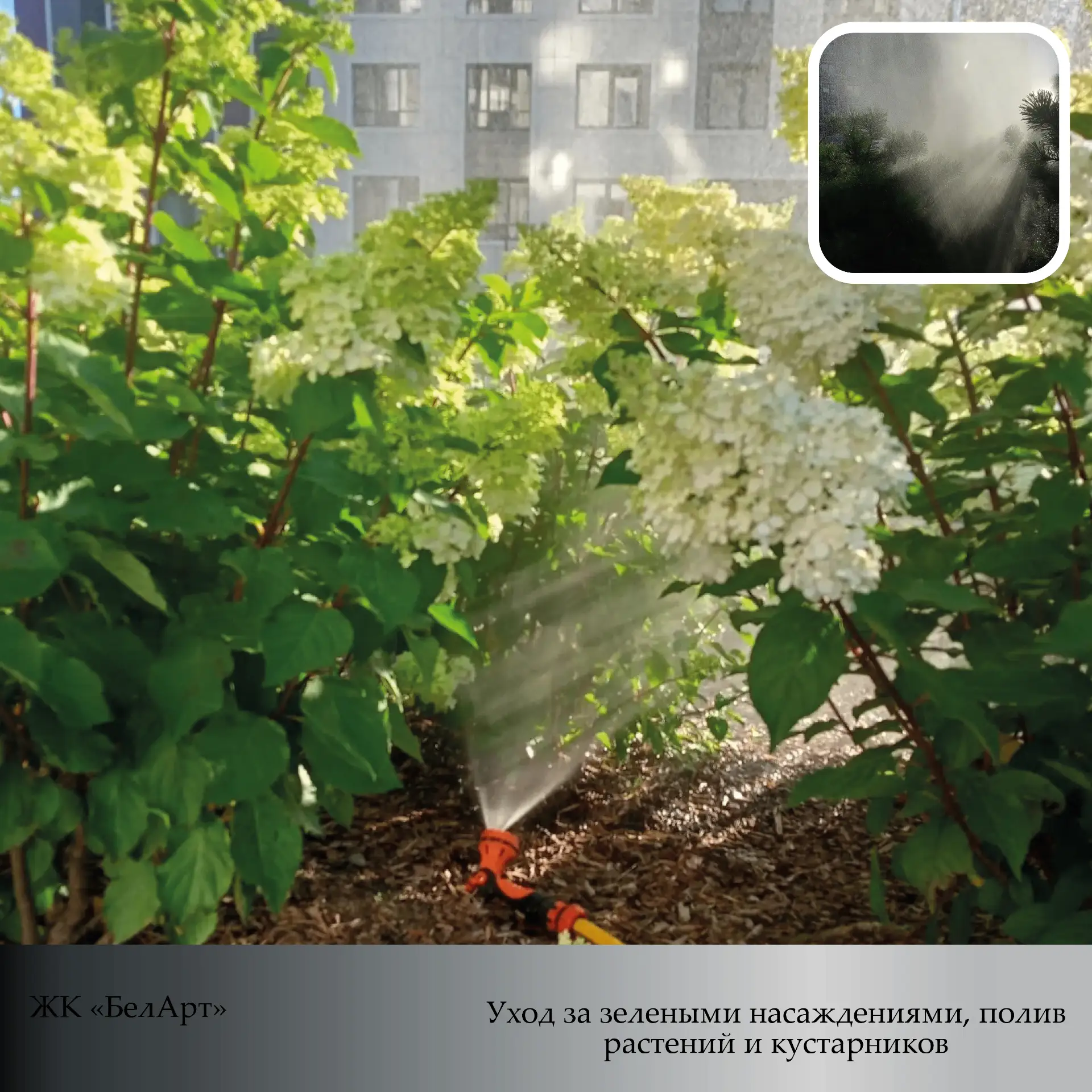 Часть 2.