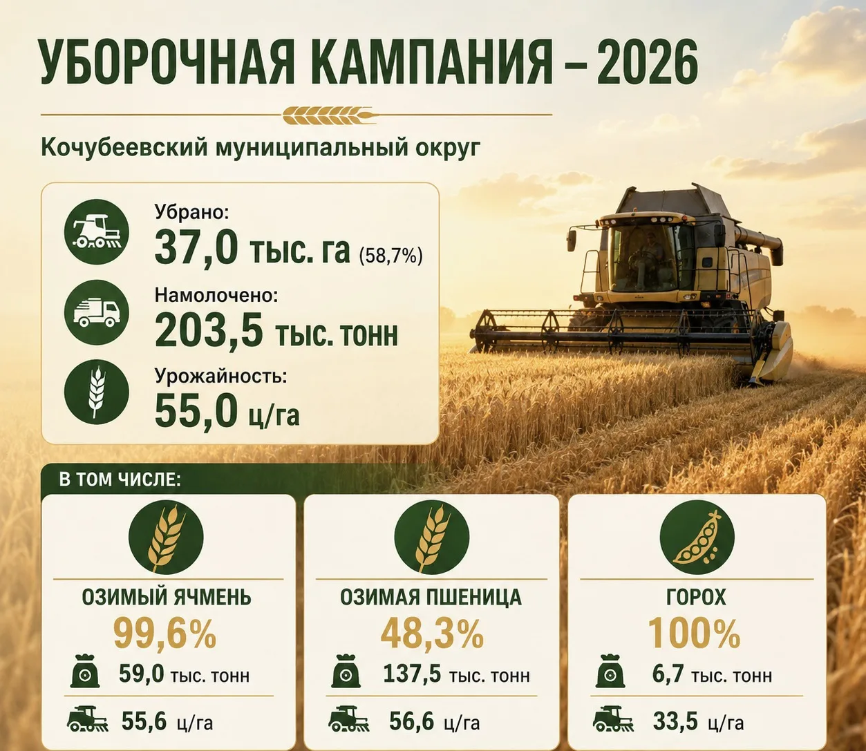 Уборочная кампания в Кочубеевском округе продолжается. 

Наши сельхозтоваропроизводители уверенно ве