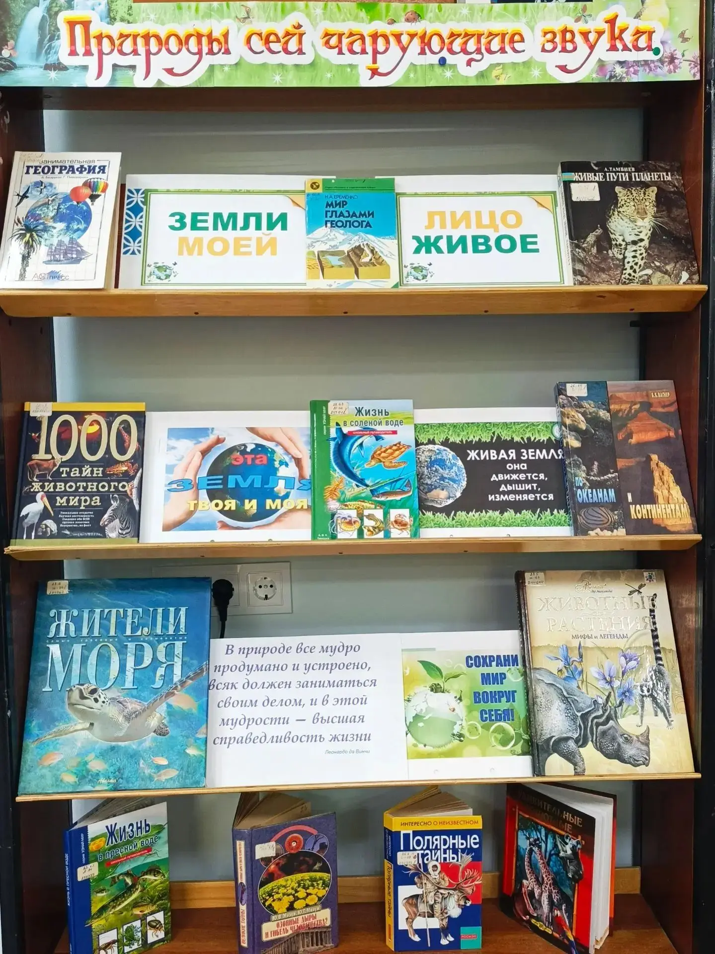 Книжная выставка-обзор «Земли моей лицо живое»	

С целью расширения кругозора читателей в области ге