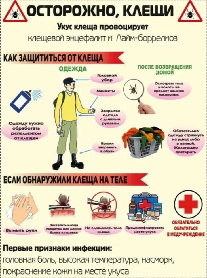 Начались летние каникулы!