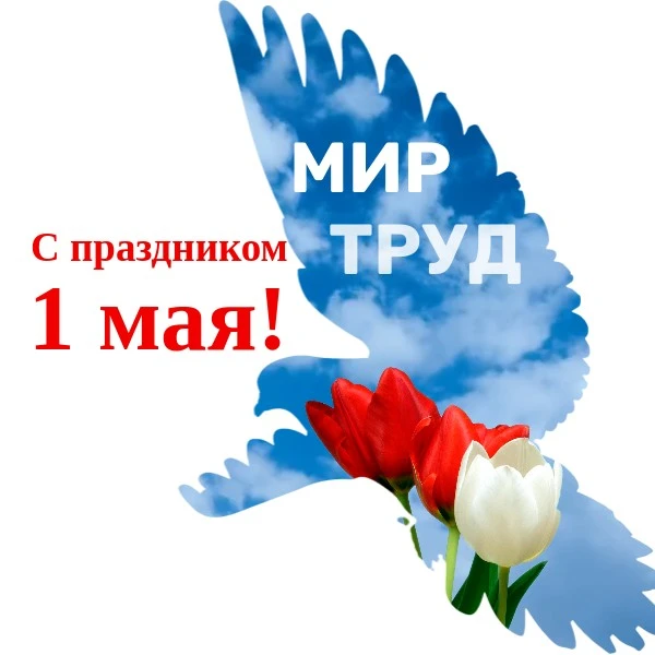 Уважаемые коллеги! Дорогие друзья!