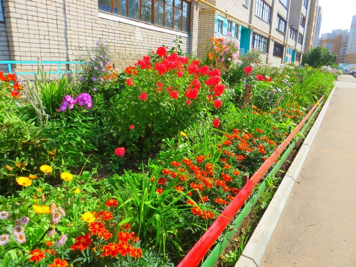 🌸В Кирове продолжается прием заявок на ежегодный конкурс «Цветущий город» по озеленени...