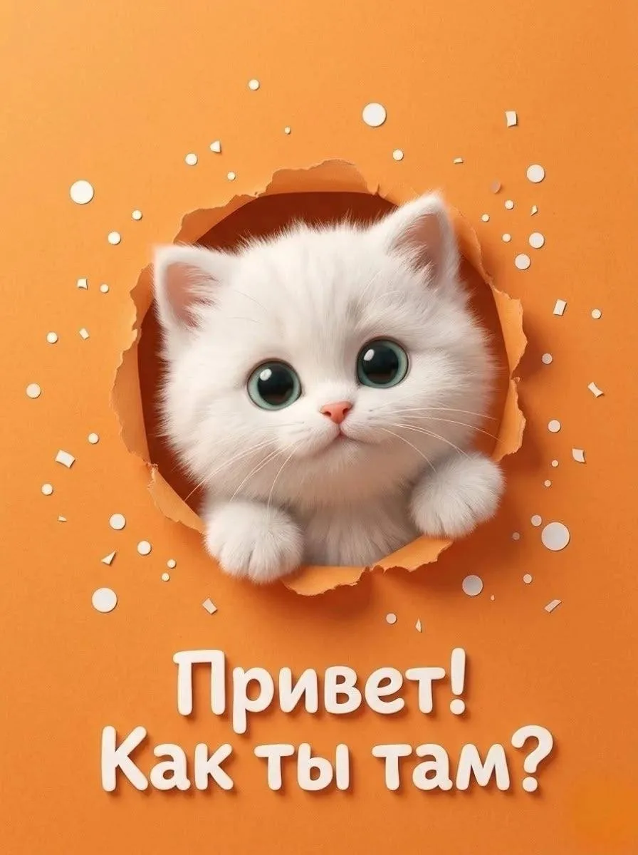 🌷 Открытки подписаться 👈