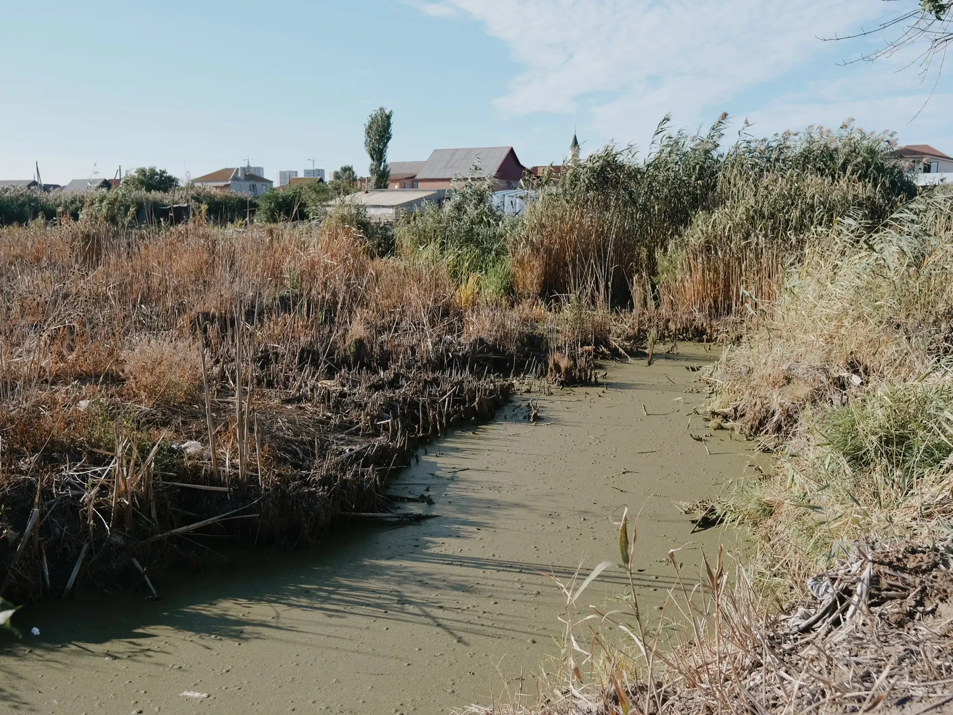 Ерик, который кормит село