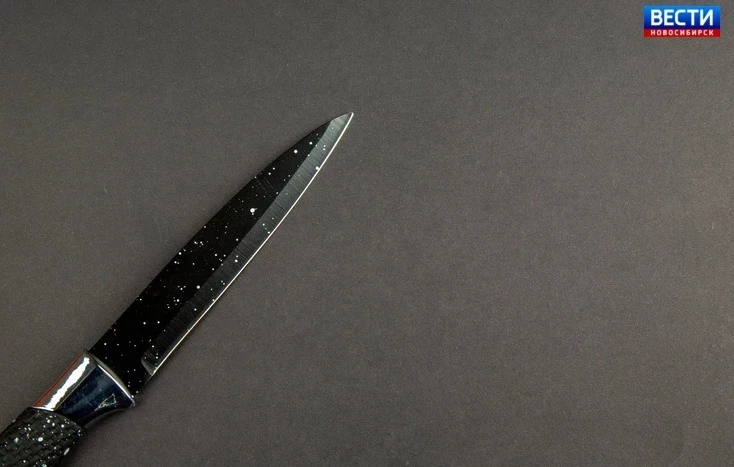 🔪 Пьяная ссора 

В Черепановском районе Новосибирской области вынесли приговор женщине, которая на 