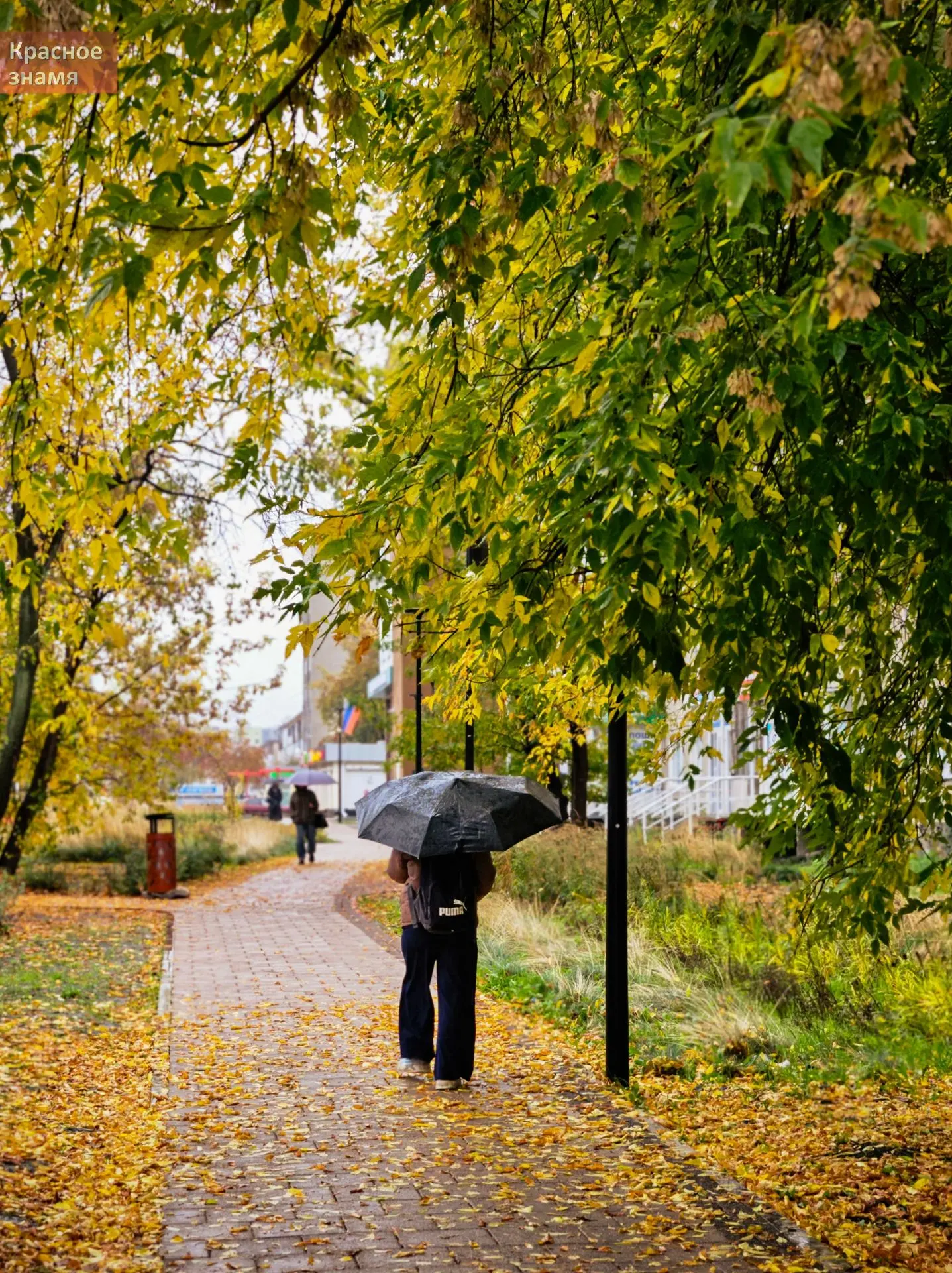 Доброе утро 🍁 Верхняя Пышма