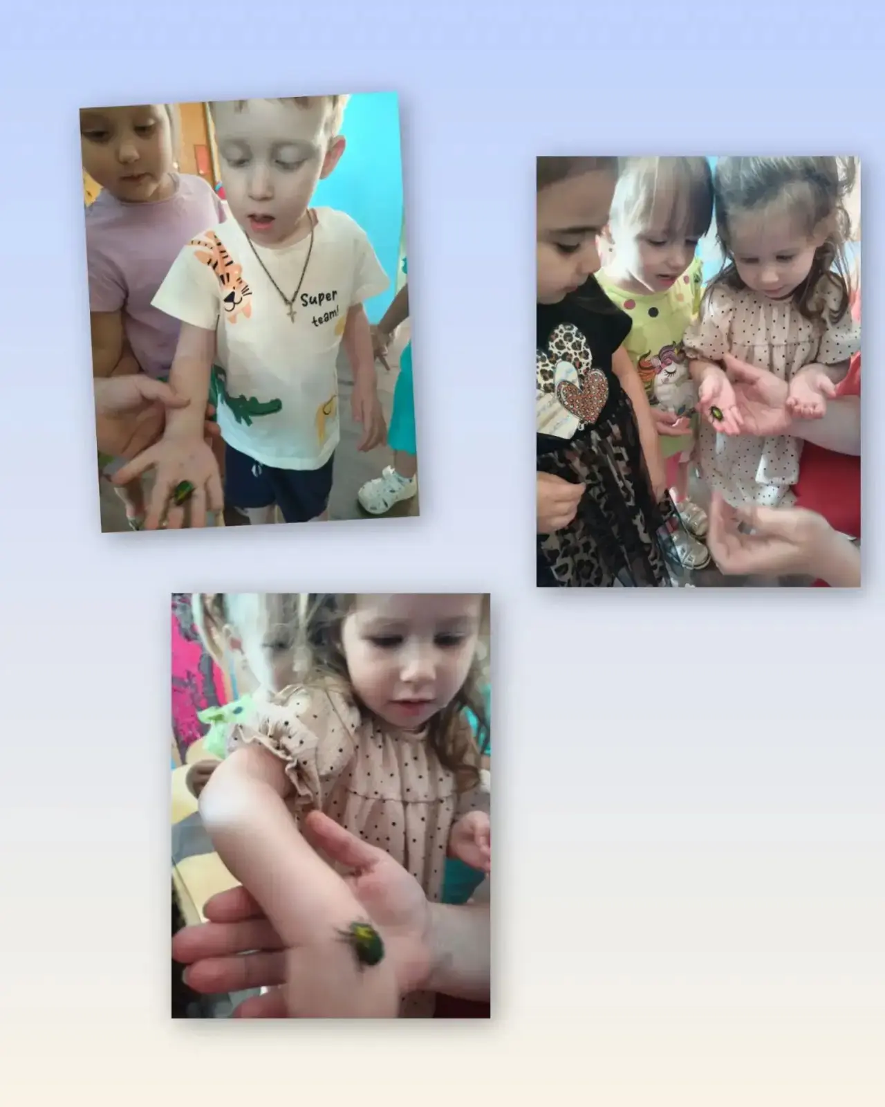 - Детская мудрость: самые важные вещи в мире помещаются на ладошке ❤️🐛
- Маленькие исследователи от