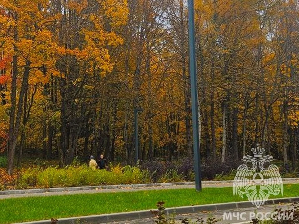 В Смоленске продолжится почти сухая осень