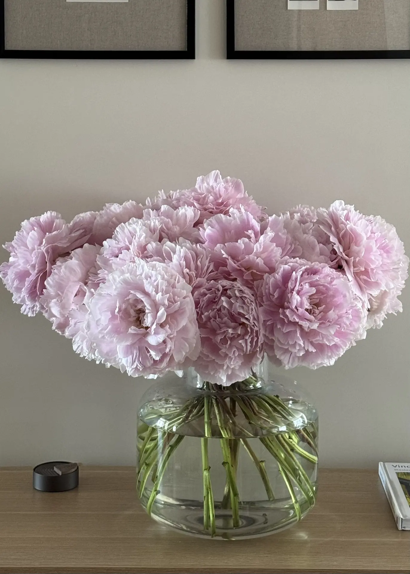 Растягиваем сезон пионов как можем 🌸

Но пока они с нами, нужно радовать себя и дарить эти эмоции б