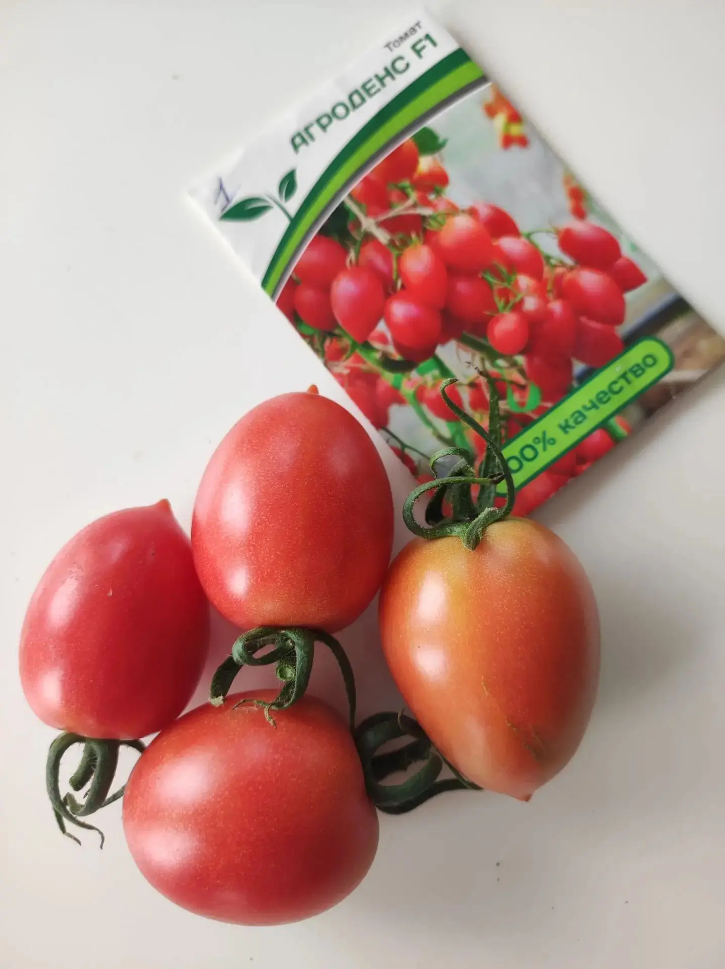 🍅 Мои томаты в этом году.