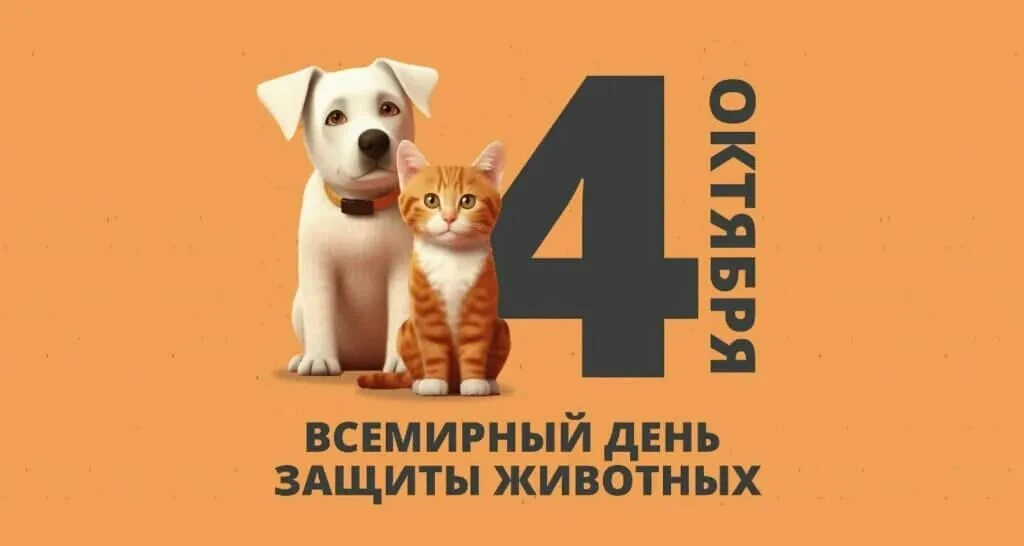 Сегодня, 4 октября, во всём мире отмечают день защиты животных