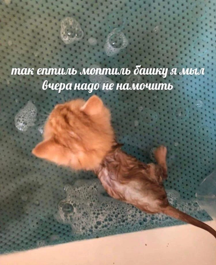 Принимаем на ночь душ