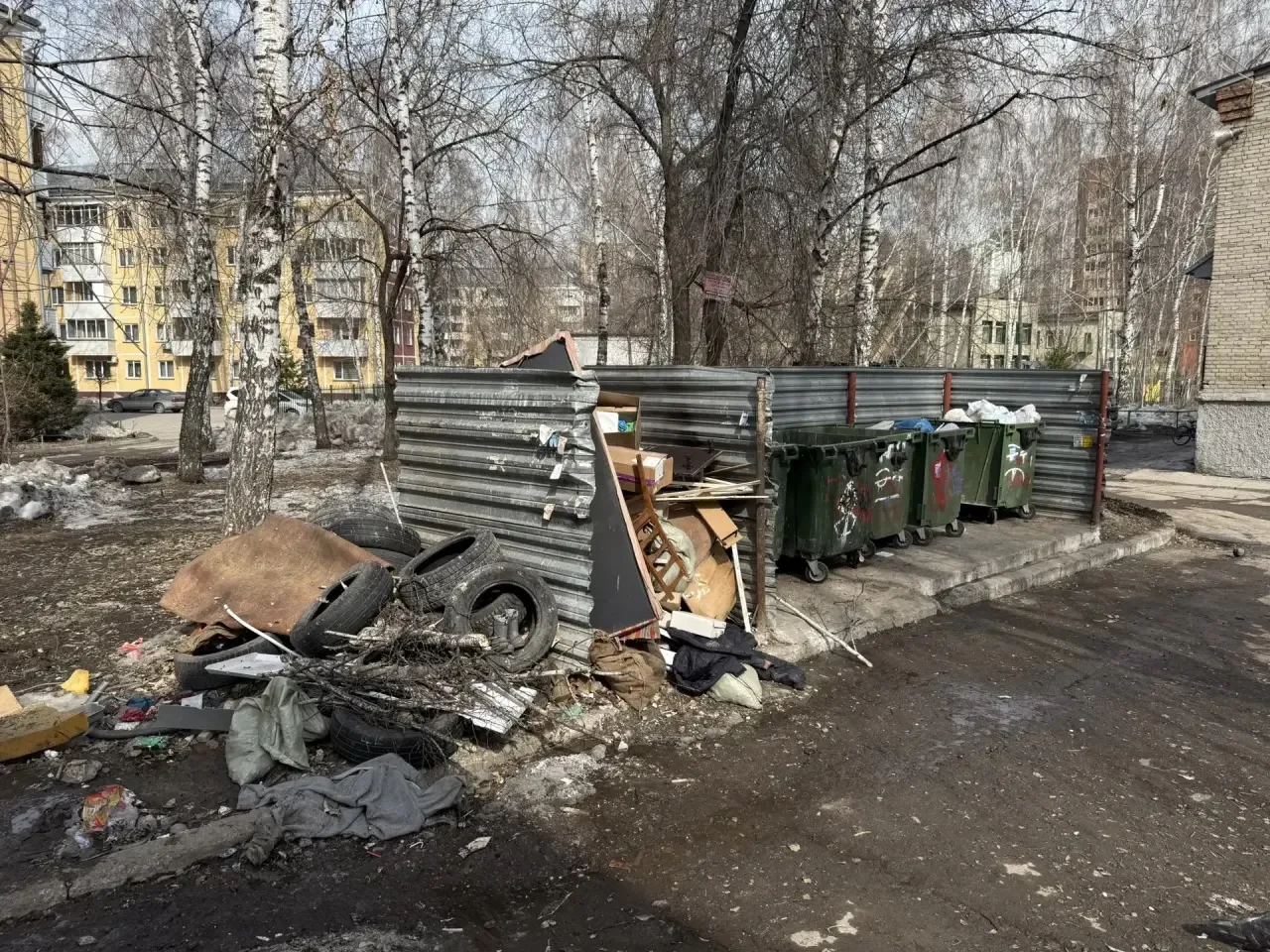 📍Прокуратура требует очистить Новосибирск от мусора  По требованию прокурора области Александра Бучм