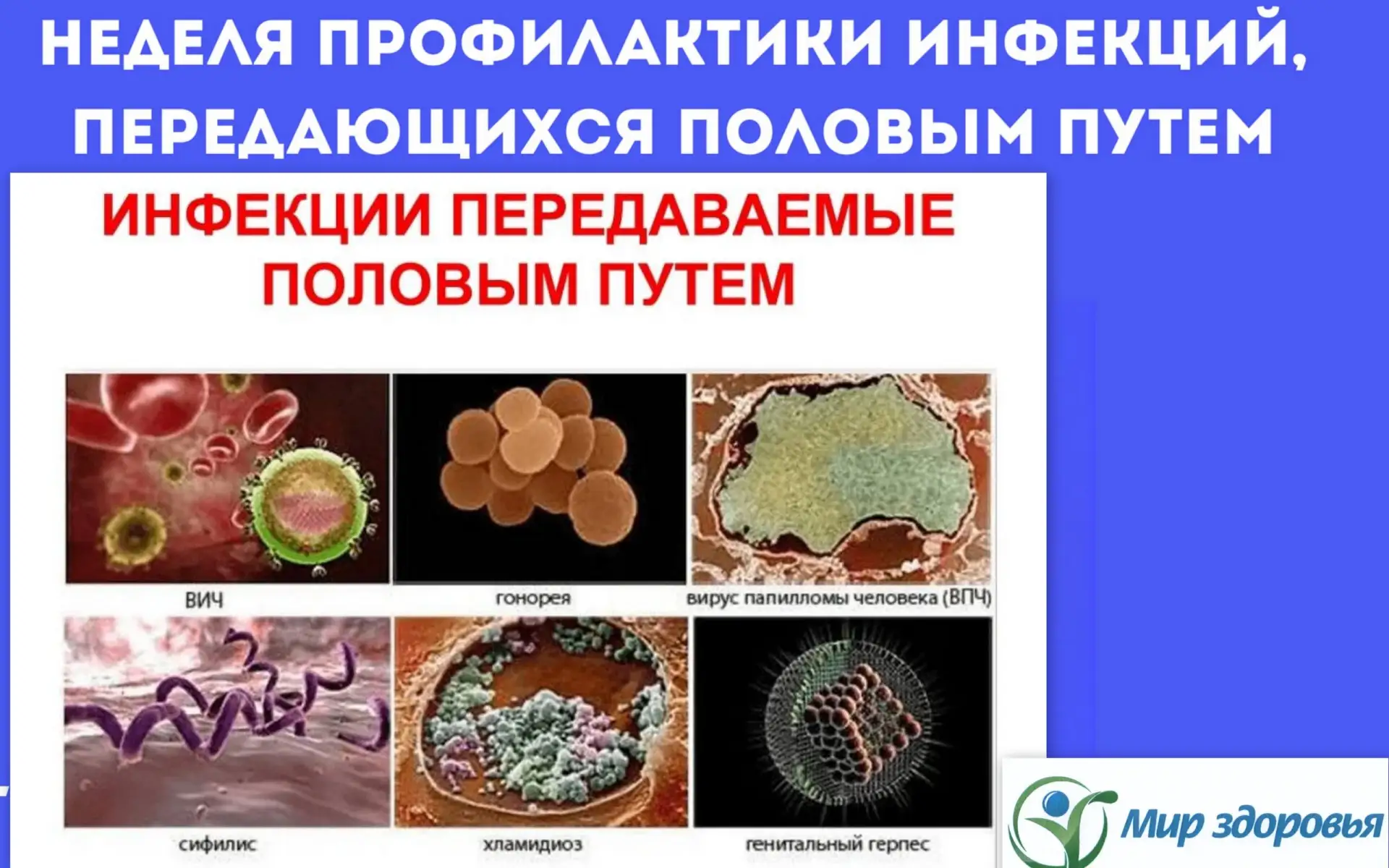 ИСТОЧНИКИ ЗАРАЖЕНИЯ ИНФЕКЦИЙ, ПЕРЕДАЮЩИХСЯ ПОЛОВЫМ ПУТЕМ и ПРОФИЛАКТИКА

В рамках недели «Профилакти