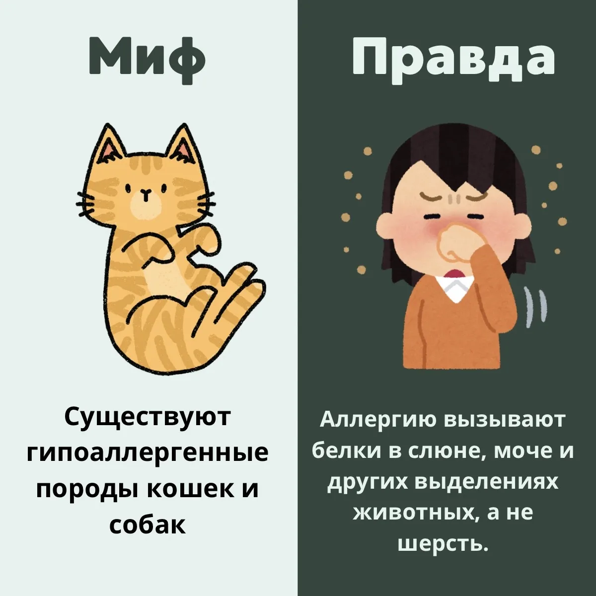 Существуют ли гипоаллергенные  породы кошек и собак?