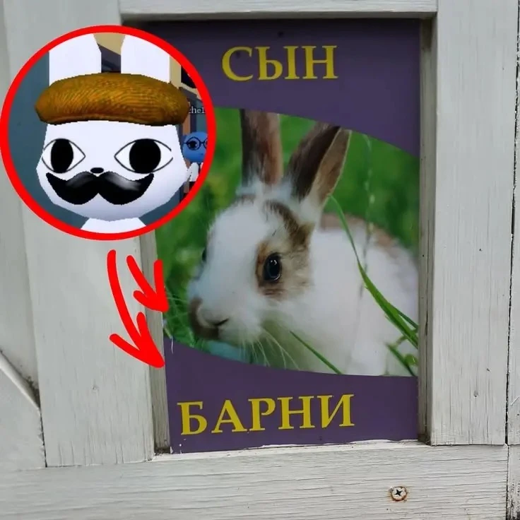 Внебрачный сын
