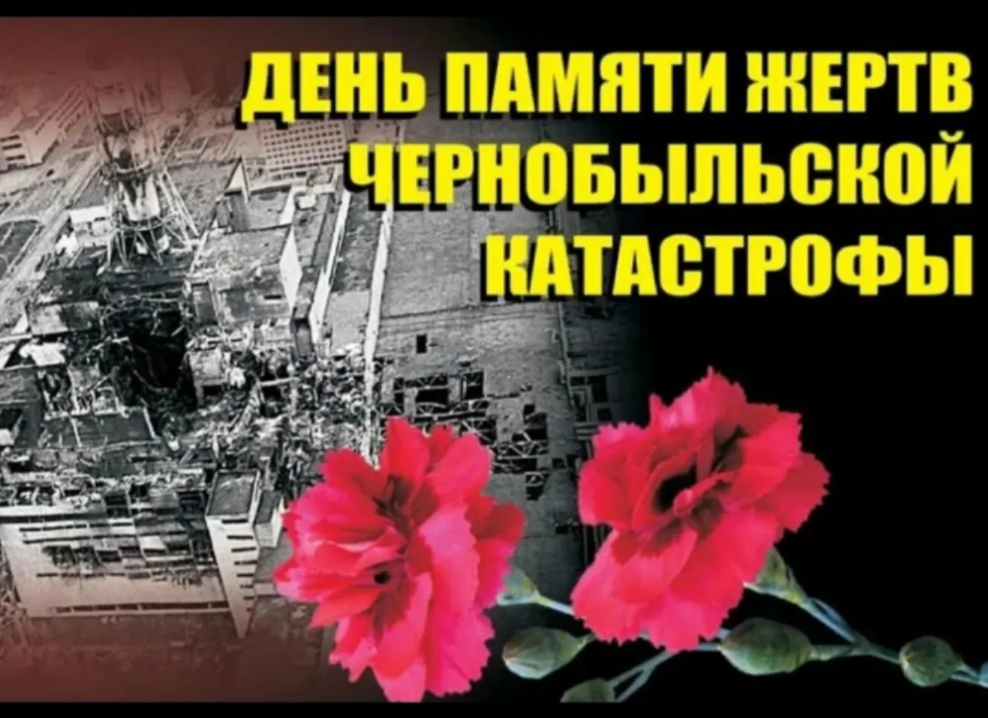 В нашей школе прошли мероприятия, посвящённые 40-летию трагедии - аварии на Чернобыльской АЭС. Такие