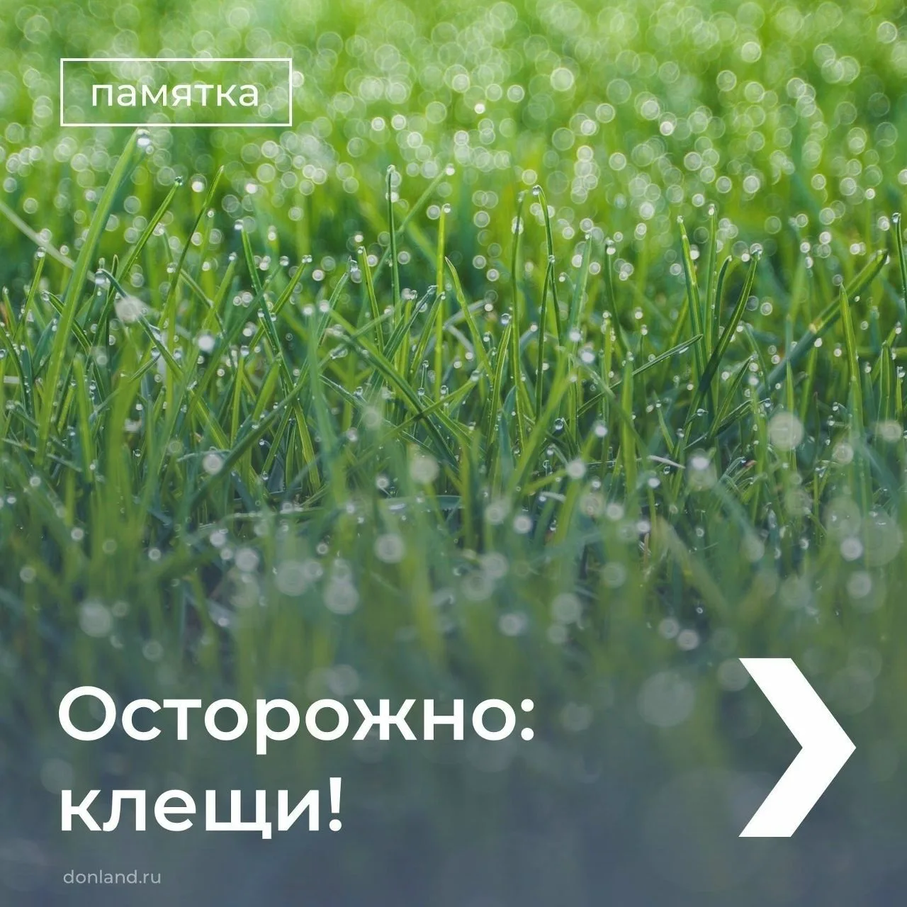 ❓Как защититься от клещей, смотрите в карточках ▶️ 

#памятка
#защитаотклещей