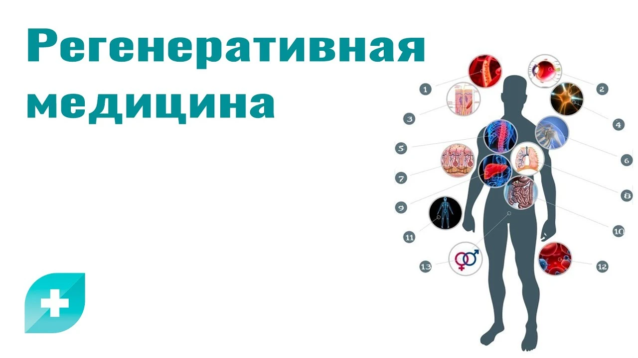 🏐 Вся Россия