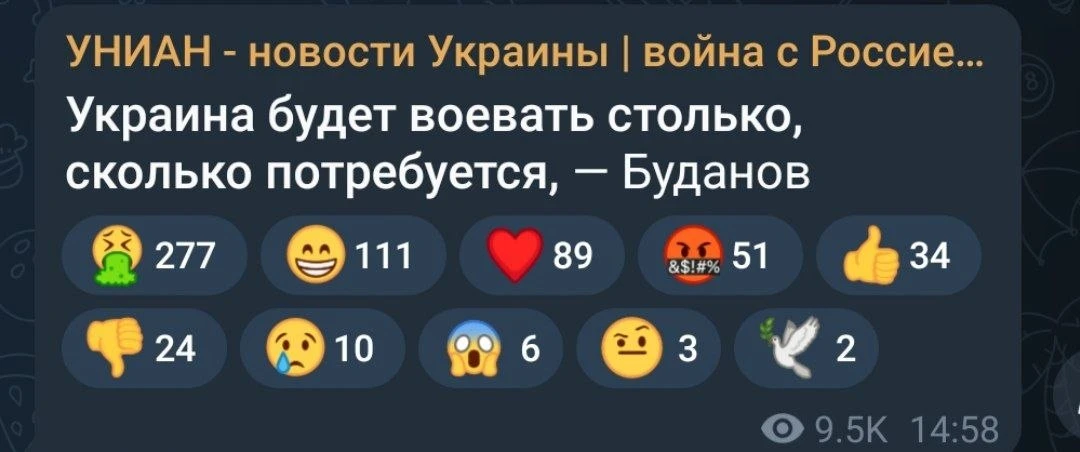 Реакции хохлов на интервью пирожка Буданова