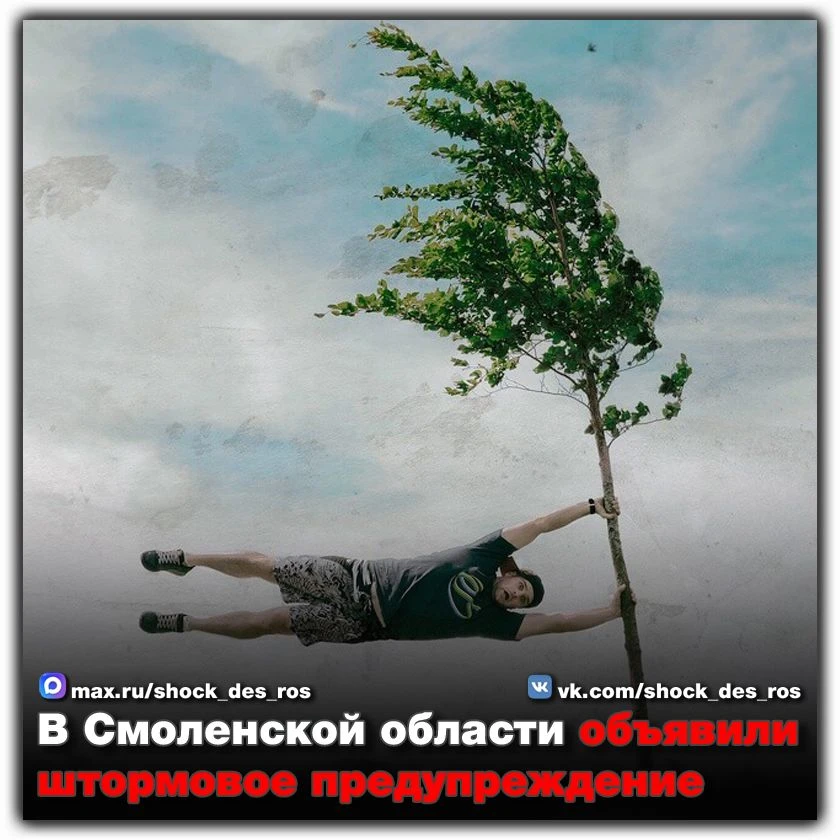 🔴 В Смоленской области объявили штормовое предупреждение  В ближайшие 1–2 часа, а также вечером и в 