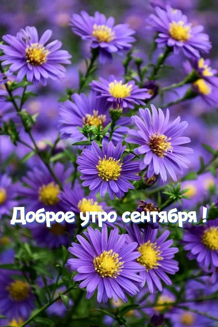 Прекрасного вам настроения!.
