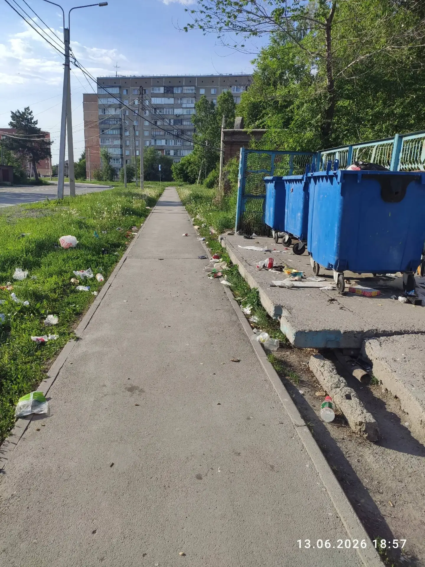 Опять собаки виноваты?