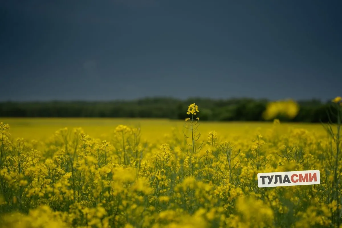 В Тульской области ожидается гроза