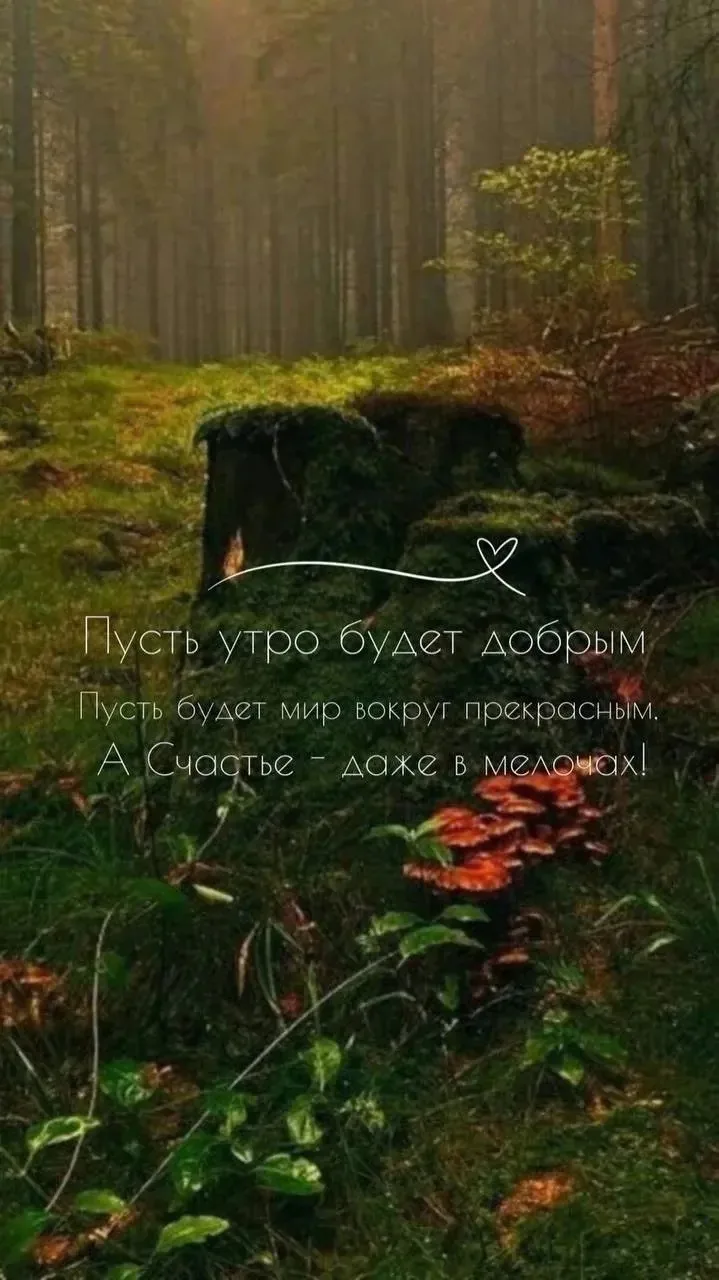 Кто куда, а я сегодня после работы точно в лес подамся 😂