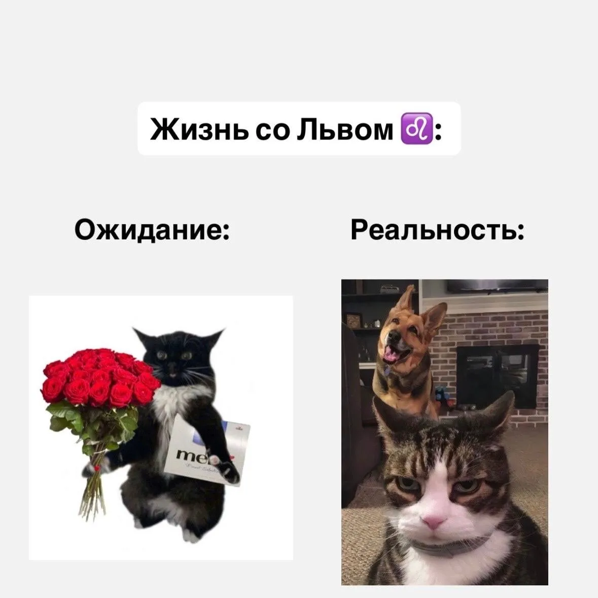 Жизнь со знаками зодиака, часть 1  Если согласны с постом, оставляйте реакцию ❤️  Астрология | Подпи