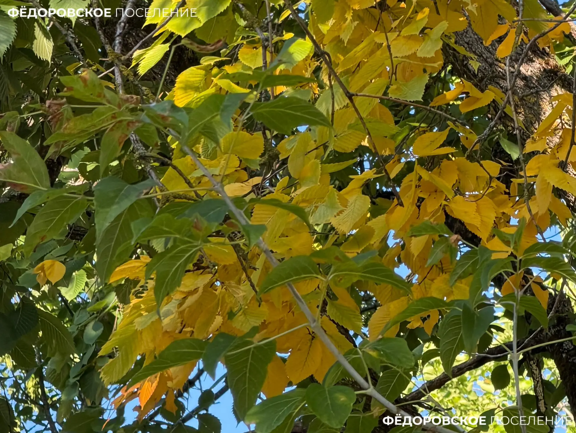 🍂 сентябрь уже на пороге?!