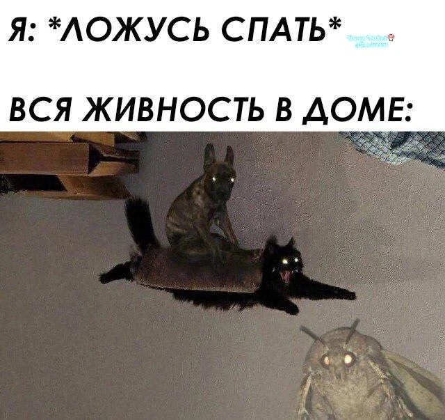 Проклятье ночного тыгыдыка🤷‍♀️ Придется заедать стресс дожором... 🙄