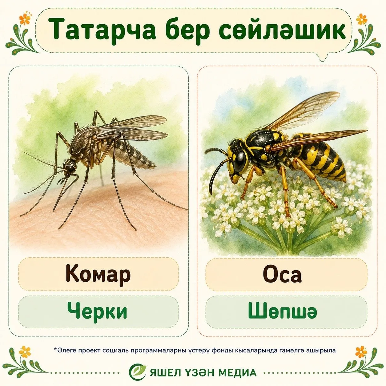 «Тере тел – сүздән башлана» исеме астында тәкъдим ителгән мәкаләләрне, видеоязмаларны, карточкаларны
