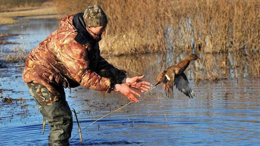 Весенняя охота в Нижегородской области: сроки, условия и порядок получения разрешений  С 20 марта 20